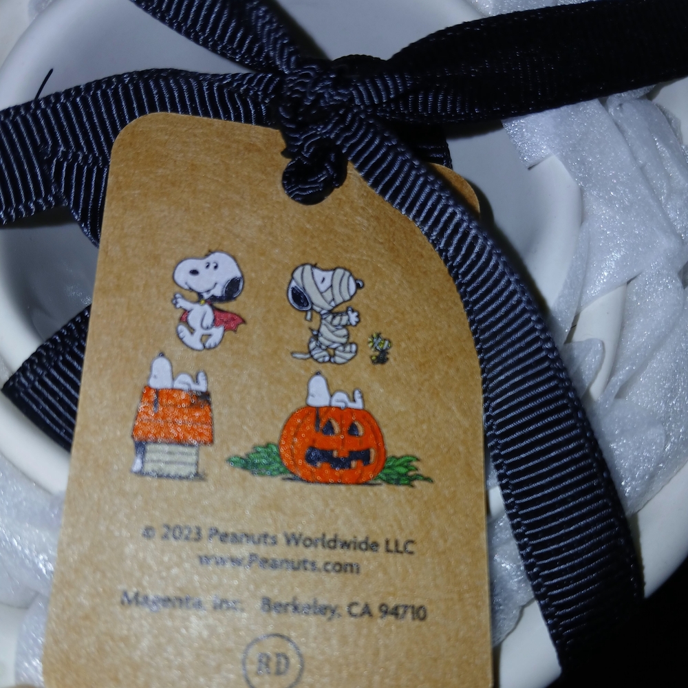 Peanuts Orange and White Snoopy Halloween Measuring Cups - Picture 3 of 3